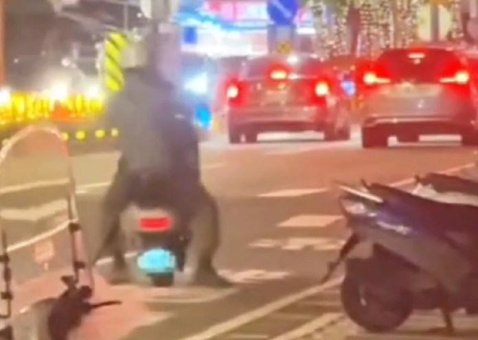 【有片】馬路上危險「翹孤輪」 警:可吊扣牌照6個月 74 1540018 0 1