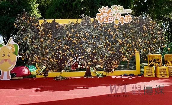 古坑柳丁節今明綠隧登場 著橙色換取一顆柳丁博人氣