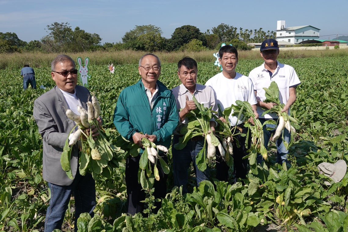 漾新聞|颱風重創美濃農產 白玉蘿蔔紅豆小番茄減產 農林議員籲加速補助助農復耕