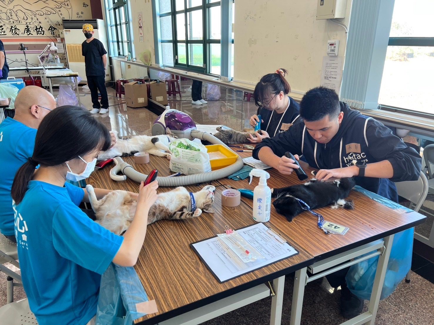 中市偏區犬貓絕育活動圓滿結束 公私協力守護毛小孩
