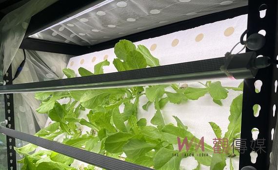 香港創新科技國際發明展 雲科大勇奪6金2銀