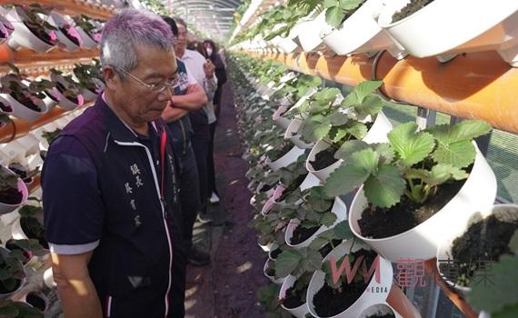 (有影片)/雲林褒忠金門金沙攜手永續15載 魚菜共生交流共創農業新契機