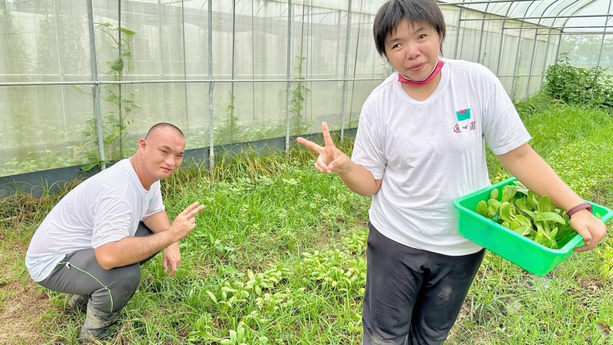 ▲蓮心園季節蔬菜箱是庇護農藝工場員工親手栽種且無毒。(記者 陳聖璋翻攝)