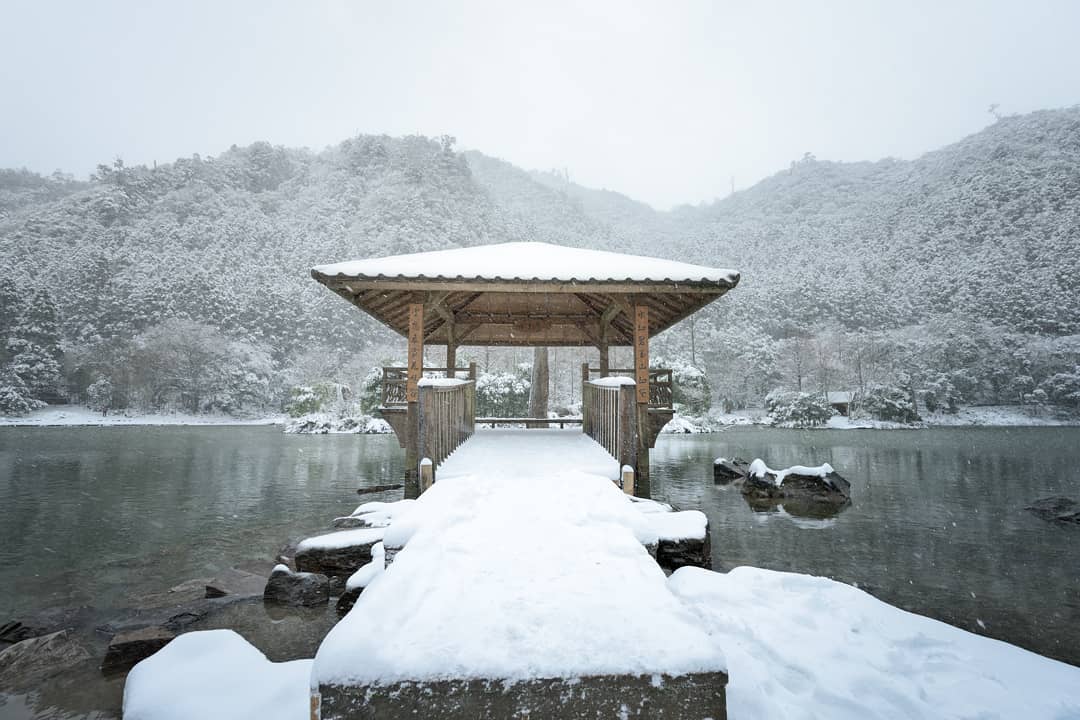 全台賞雪勝地|明池國家森林遊樂區|一起等待初雪降臨