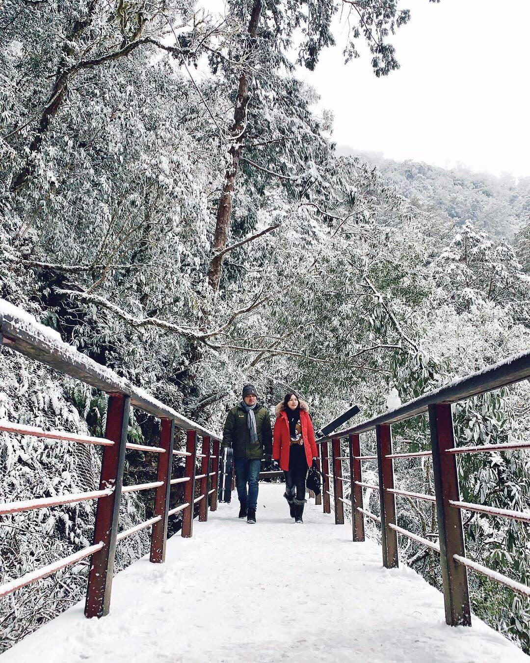 全台賞雪勝地|拉拉山|一起等待初雪降臨