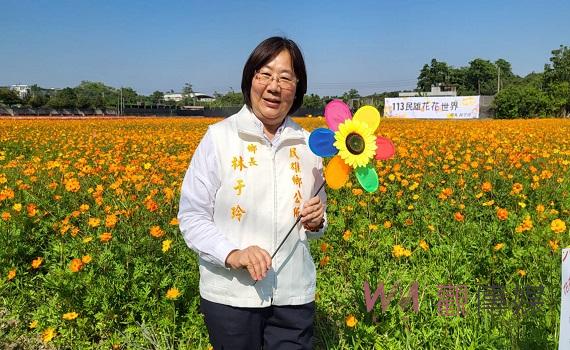 民雄文隆陸橋下花海盛開　林于玲邀請賞花、拔蘿蔔