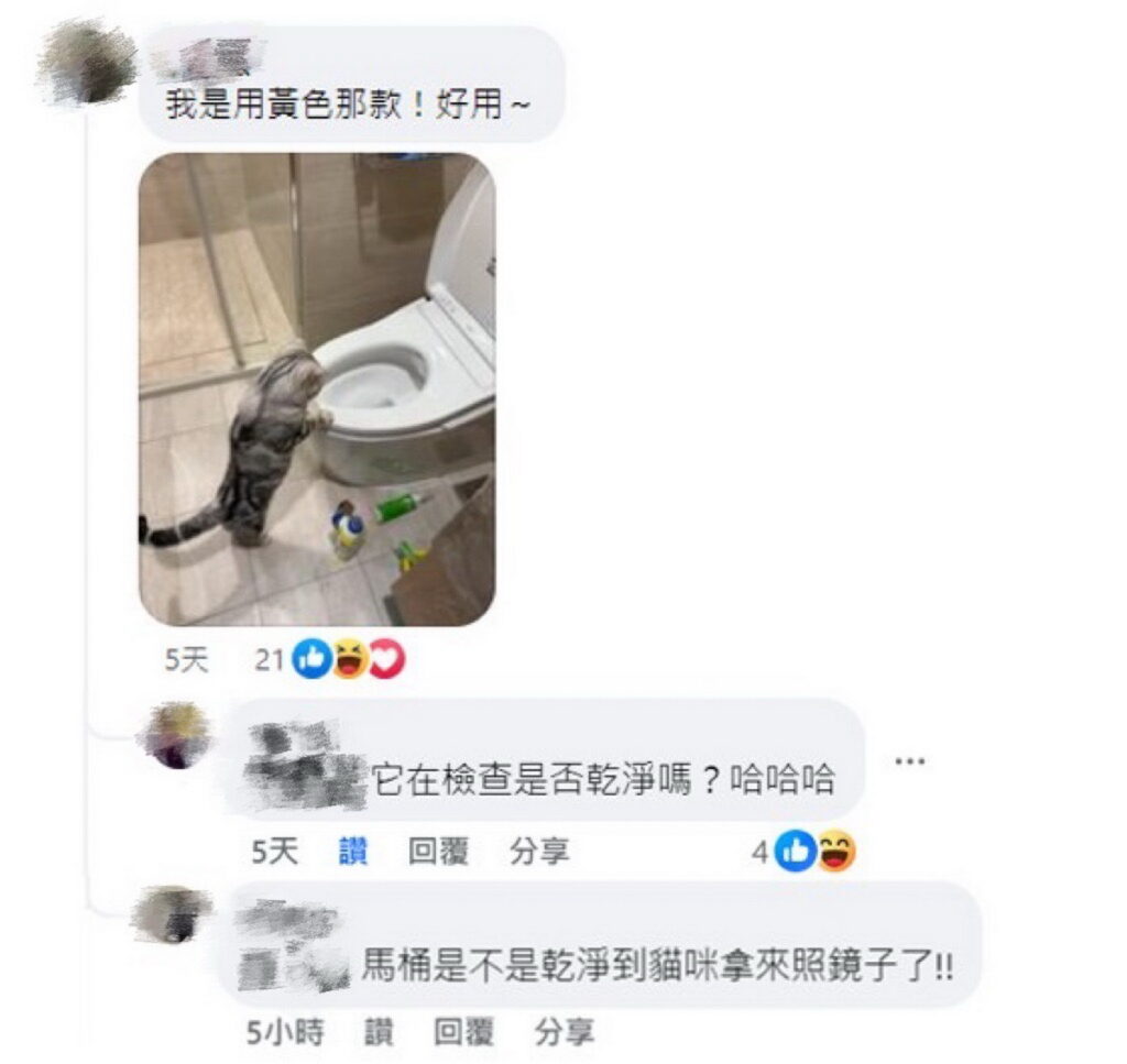 網友笑回馬桶是否乾淨到貓咪拿來照鏡子。 (圖/擷取自FB全聯消費經驗老實說)