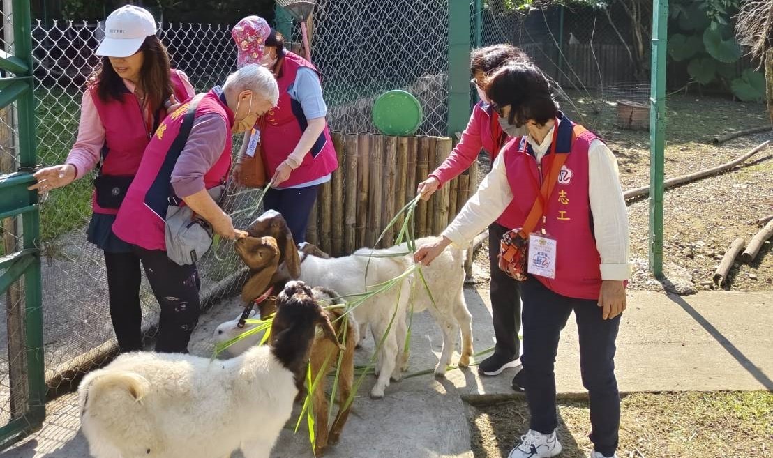 志工參觀白河榮家動物區,體驗餵羊樂趣。(記者 張艷君翻攝)