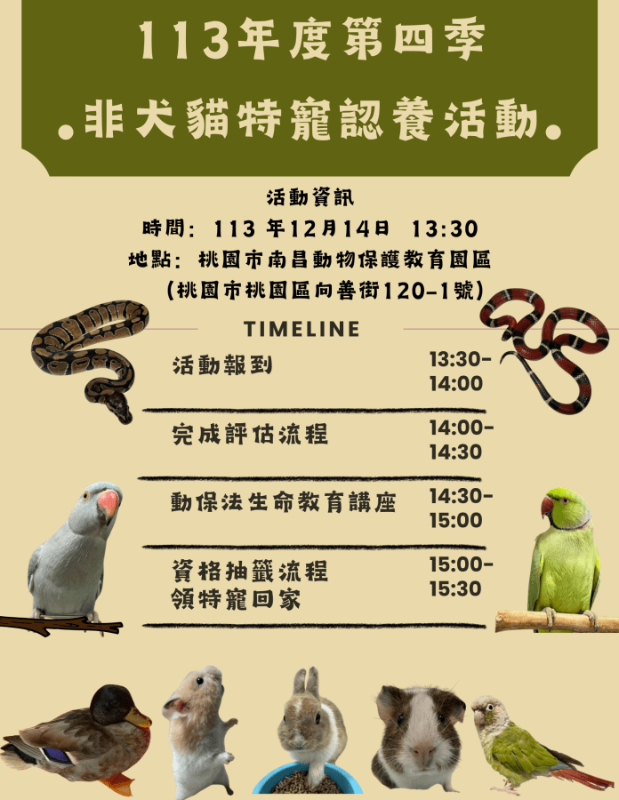 113年度第四季 非犬貓特寵認養活動