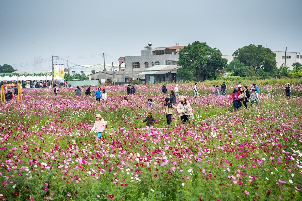 ▲嘉義市花海與幸福交織,展現自然與永續魅力。(圖/嘉義市政府提供)