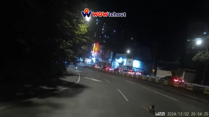 【有片】驚險!寵物犬跳下機車 後方騎士差點撞上 81 6454545