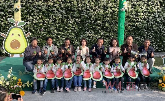 打造哈斯酪梨在台灣的家鄉　中埔農會輔導種植研發健康食譜