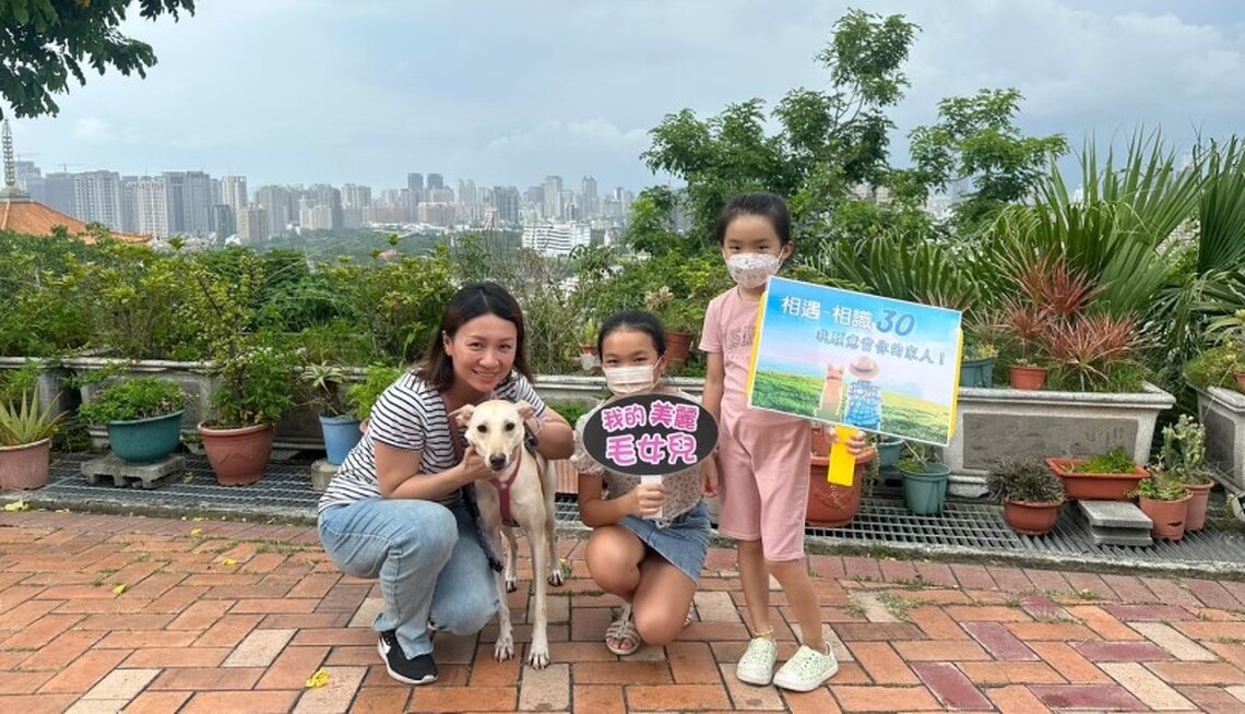 為1735隻浪浪找到幸福 高雄動保處攜手民間建立4大認養管道 讓認養率大增17%