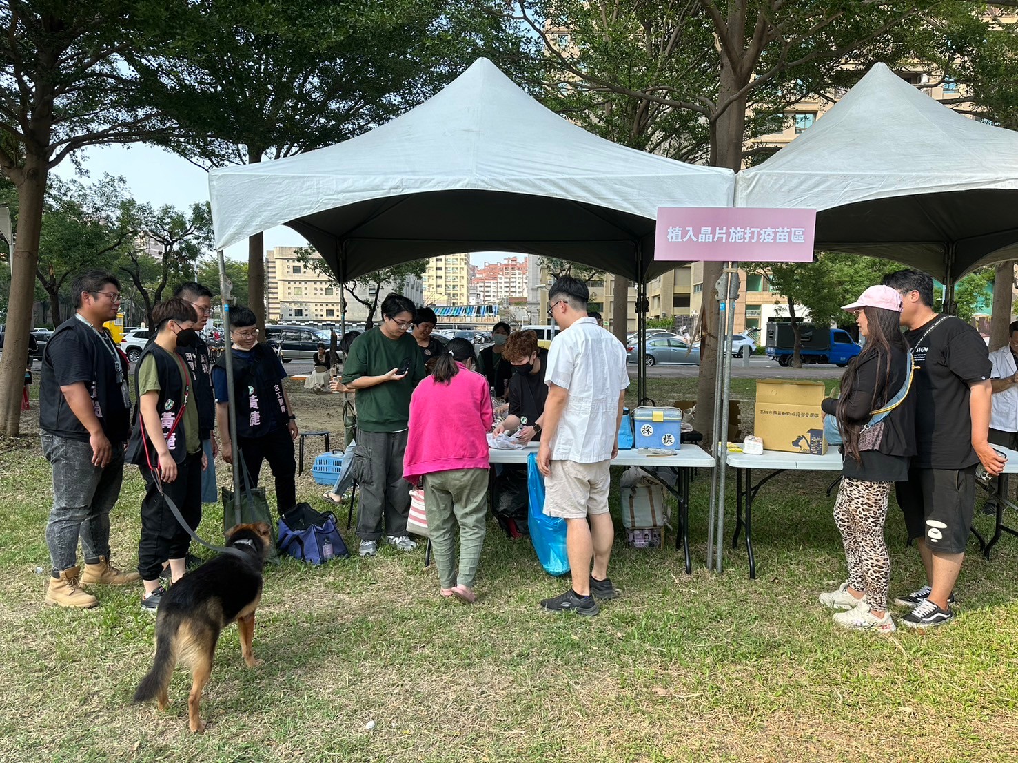 高雄動保處創新認養管道,助1735隻浪浪找到新家,認養率大增17%!