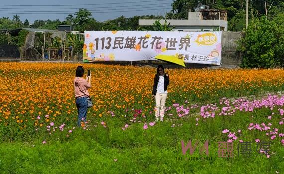 民雄花海盛會登場 賞花期至今年12月30日