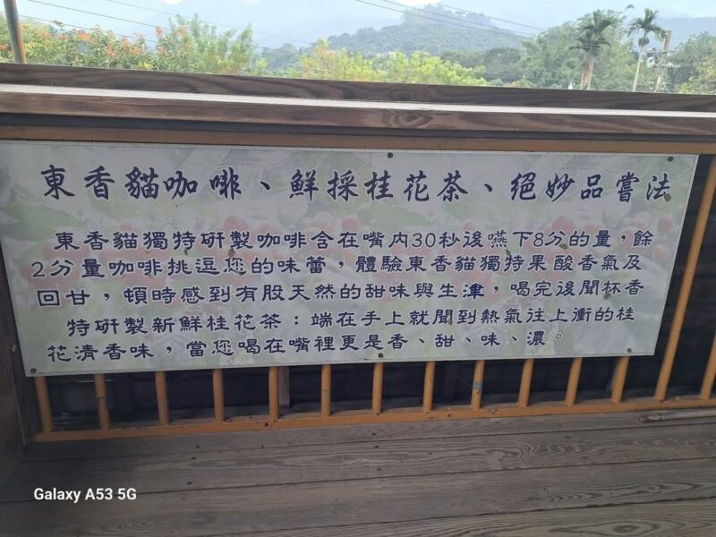 圖文:東香貓咖啡園區 評鑑為國際級的頂級咖啡(榮譽總裁林志強/古林/攝影)。