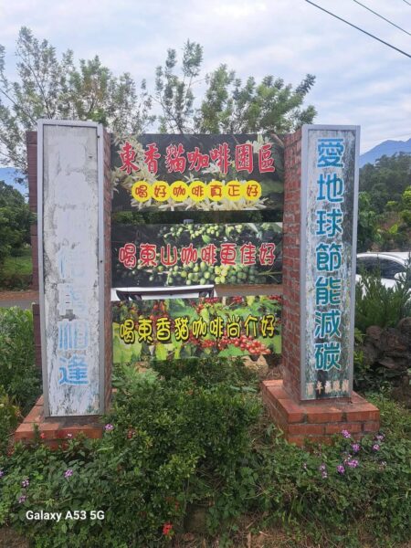圖文:東香貓咖啡園區 評鑑為國際級的頂級咖啡(榮譽總裁林志強/古林/攝影)。