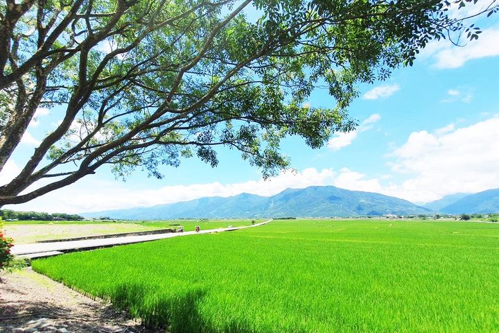 永信旅遊2024金旅獎.優旅選/花東樂齡深度慢旅、蜜月首選東歐奧捷、獨具巧思的超熱門多洛米堤之旅