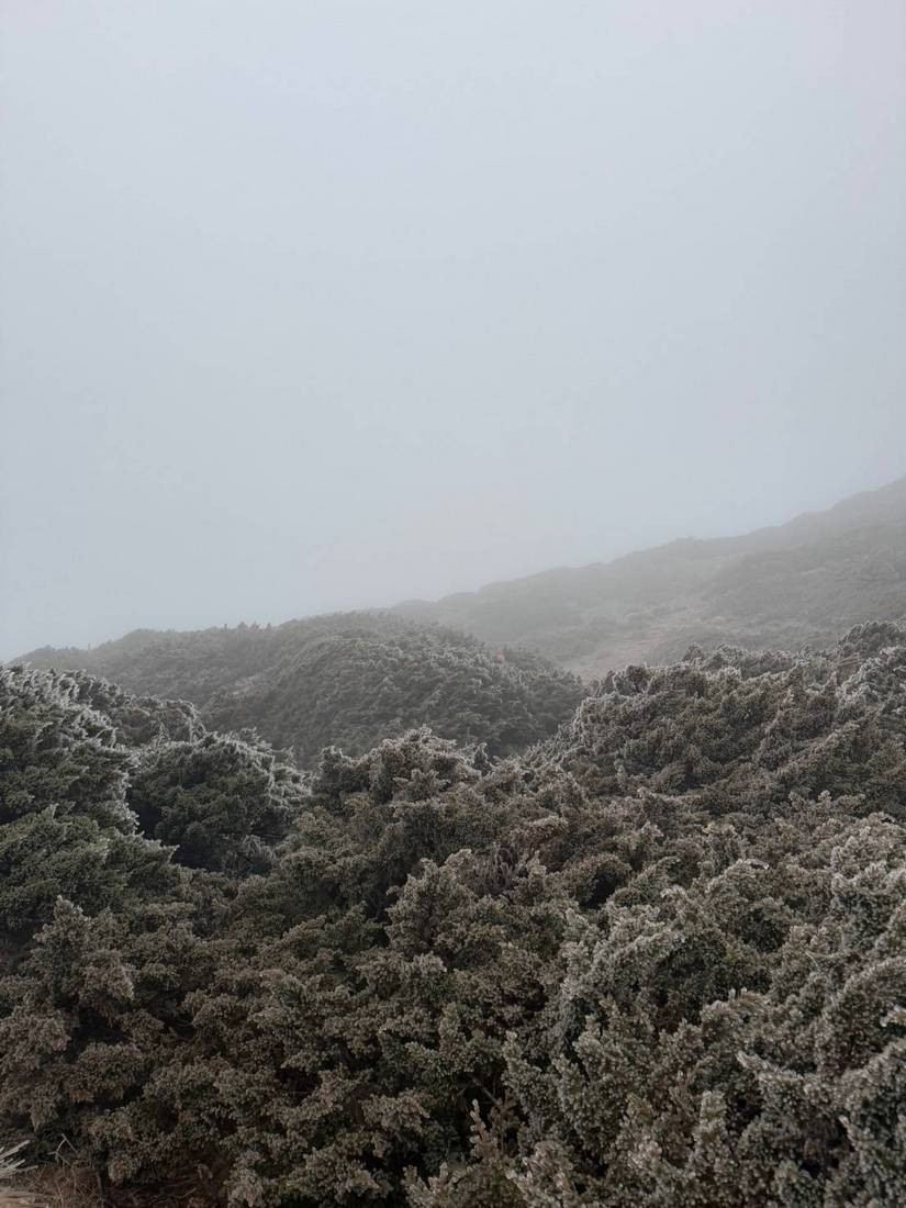 圓峰營地霧淞(山友/玉管處/提供)<br /><br /> <br /><br />