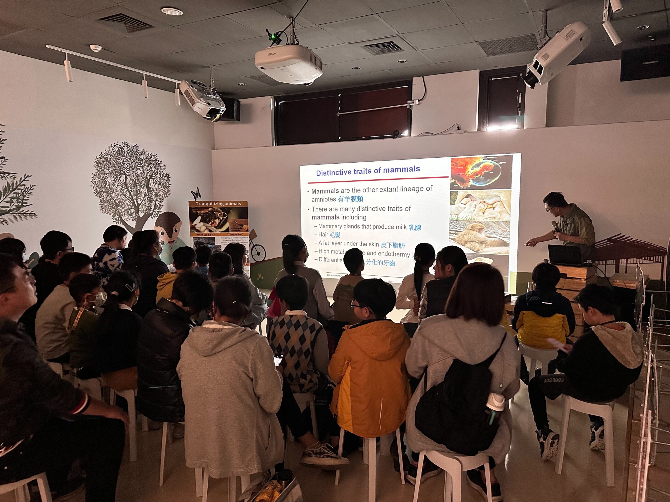 中市水利局筏子溪流域學習體驗營 介紹溪流哺乳類多樣性