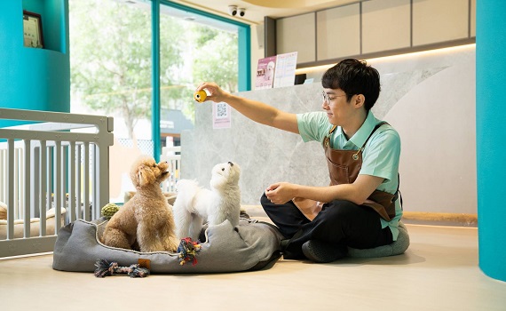 國寶寵物以動物福利為核心 奪得特優評鑑!! 聯手業界打造最高品質照護服務