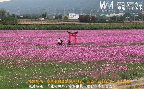 （有影片）／浪漫花海　稻草藝術展現田中特色　成為「龍稻田中」打卡焦點