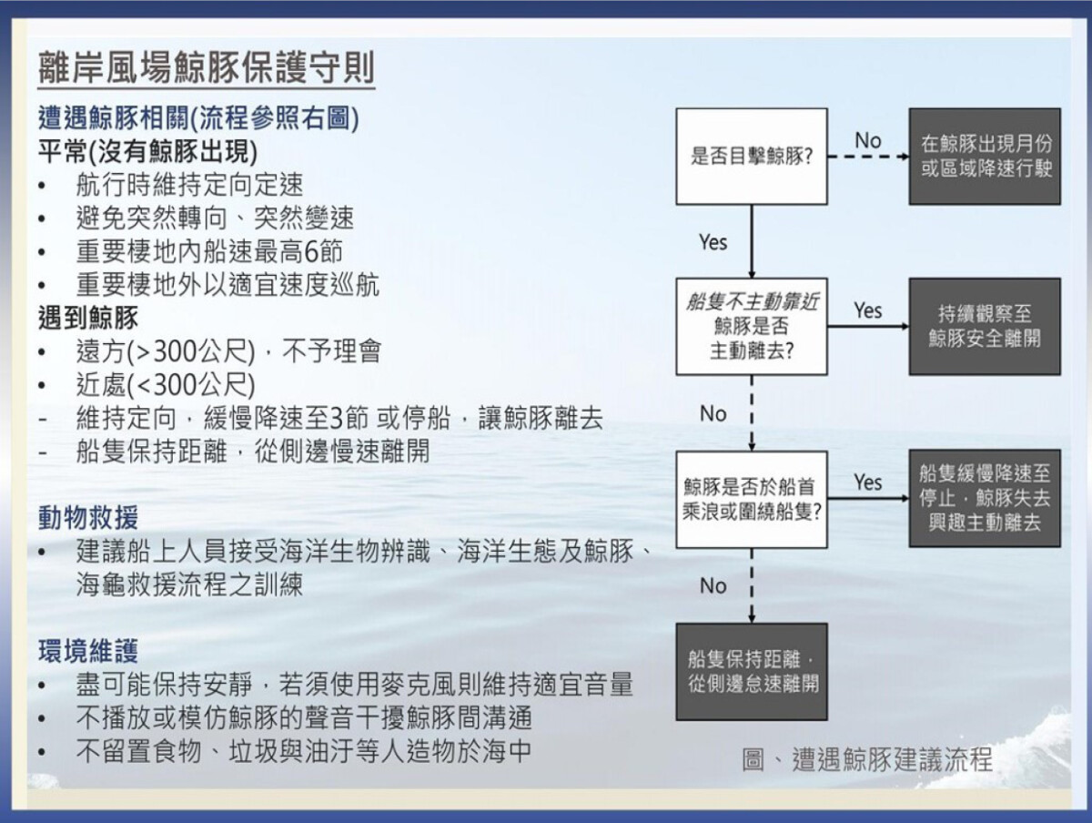 ▲離岸風場鯨豚保護守則。