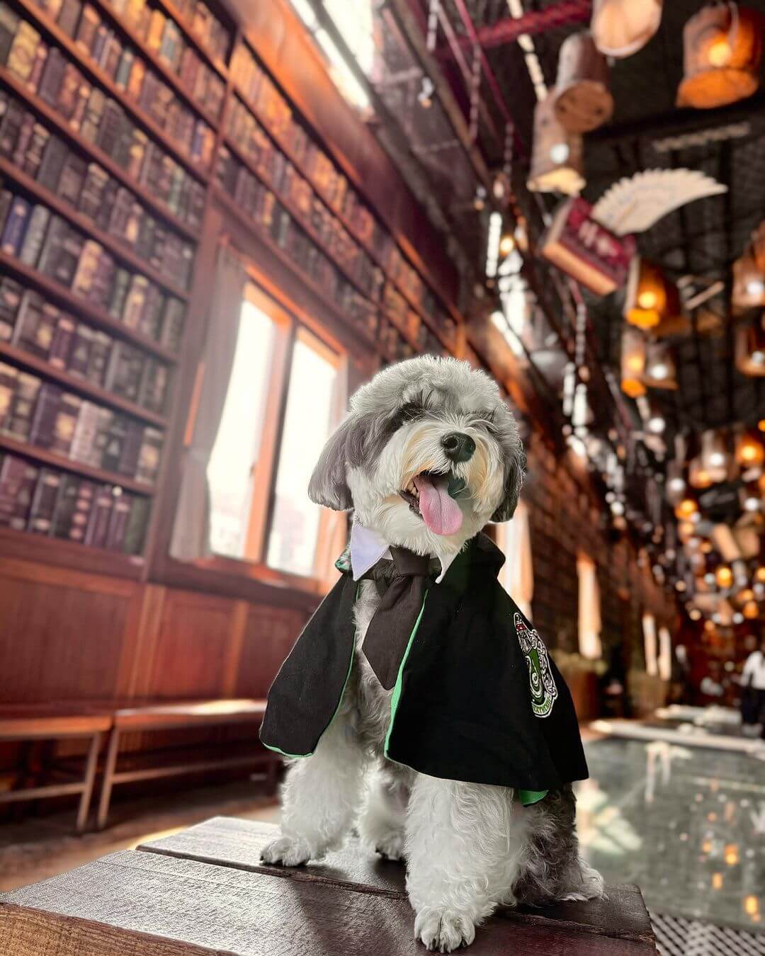 全台景點:8家大型室內遊樂場推薦!