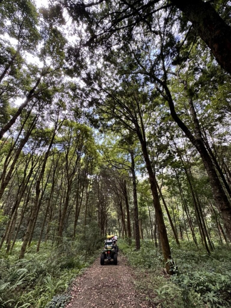跟著飛鼠飛進秘境！大甲溪流域探險之旅開啟文化與自然的奇妙篇章