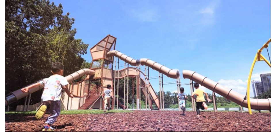 高雄都會公園共融遊戲場新亮點  融合地方需求與生態價值  獲雙料工程大獎肯定