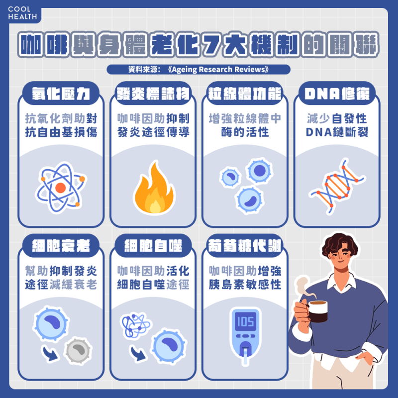 專家:長期適度飲用咖啡 影響與老化相關的七大支柱