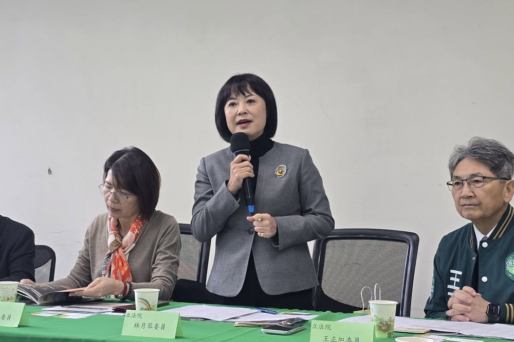 林月琴開戰桃園6藍委 批修惡財劃法拖累多項建設 218 林月琴開戰桃園6藍委 批修惡財劃法拖累多項建設 217