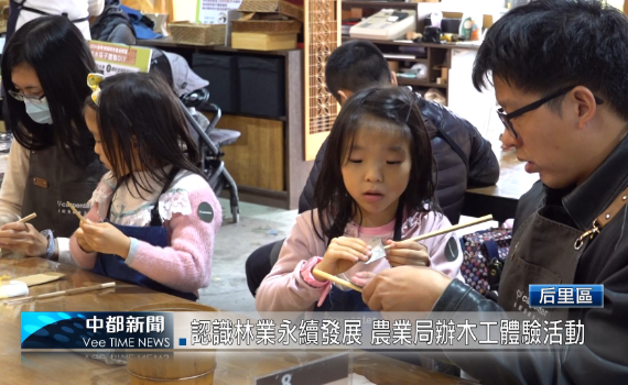 （有影片）／認識林業永續發展 農業局辦木工體驗活動
