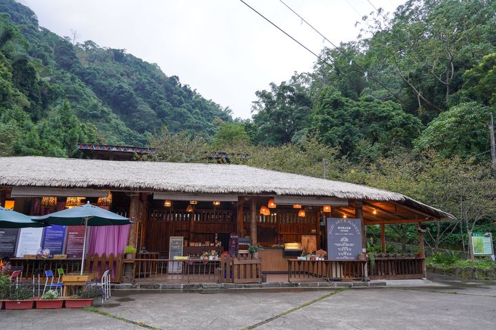 楓紅了!探秘嘉義阿里山鄉2日遊 賞楓行程全攻略