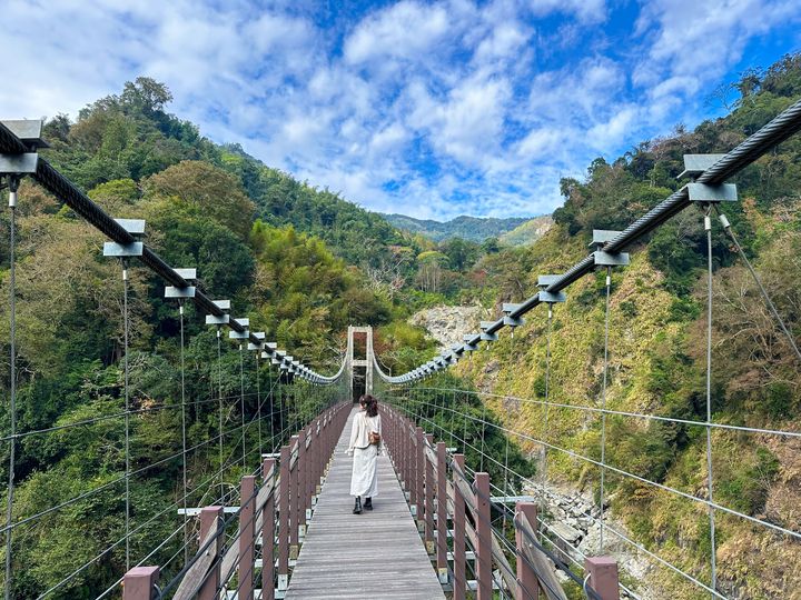 楓紅了!探秘嘉義阿里山鄉2日遊 賞楓行程全攻略