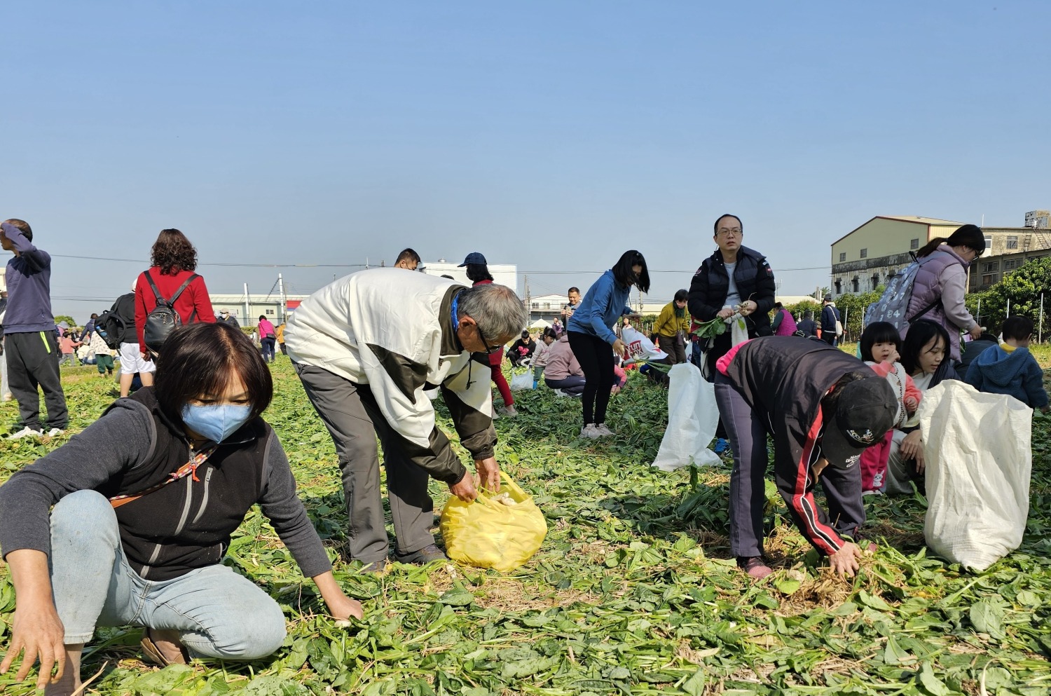 迎新年好彩頭、拔蘿蔔助公益活動人潮熱滾滾。(圖/記者葉子綱攝)