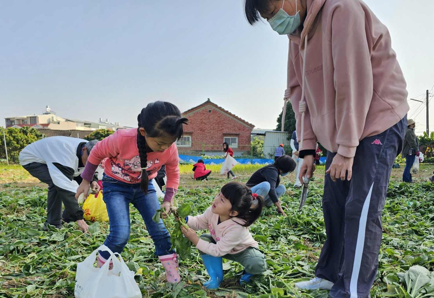 迎新年好彩頭、拔蘿蔔助公益活動大人小孩拔得不亦樂乎。(圖/記者葉子綱攝)