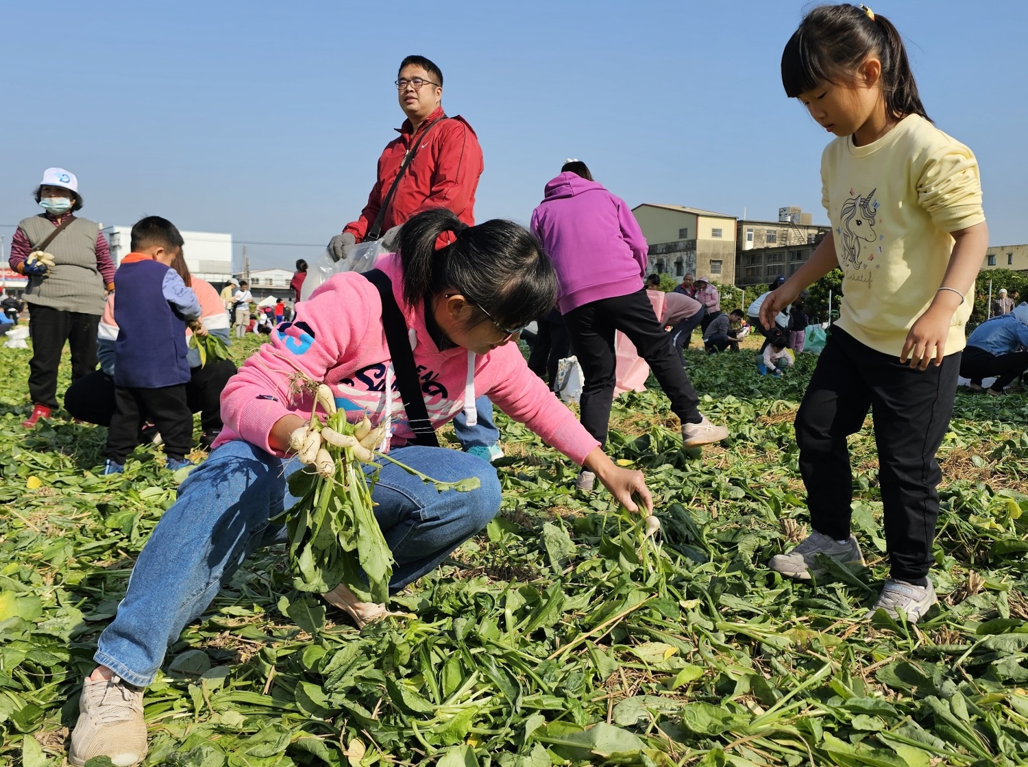 迎新年好彩頭、拔蘿蔔助公益活動大人小孩拔得不亦樂乎。(圖/記者葉子綱攝)