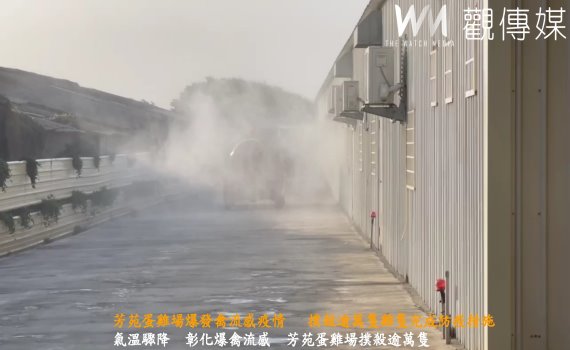 (有影片)/芳苑蛋雞場爆發禽流感疫情 撲殺逾萬隻雞隻完成防疫措施