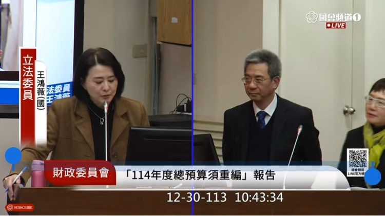 王鴻薇在財政委員會質詢財政部長莊翠雲。(圖/王鴻薇國會辦公室)