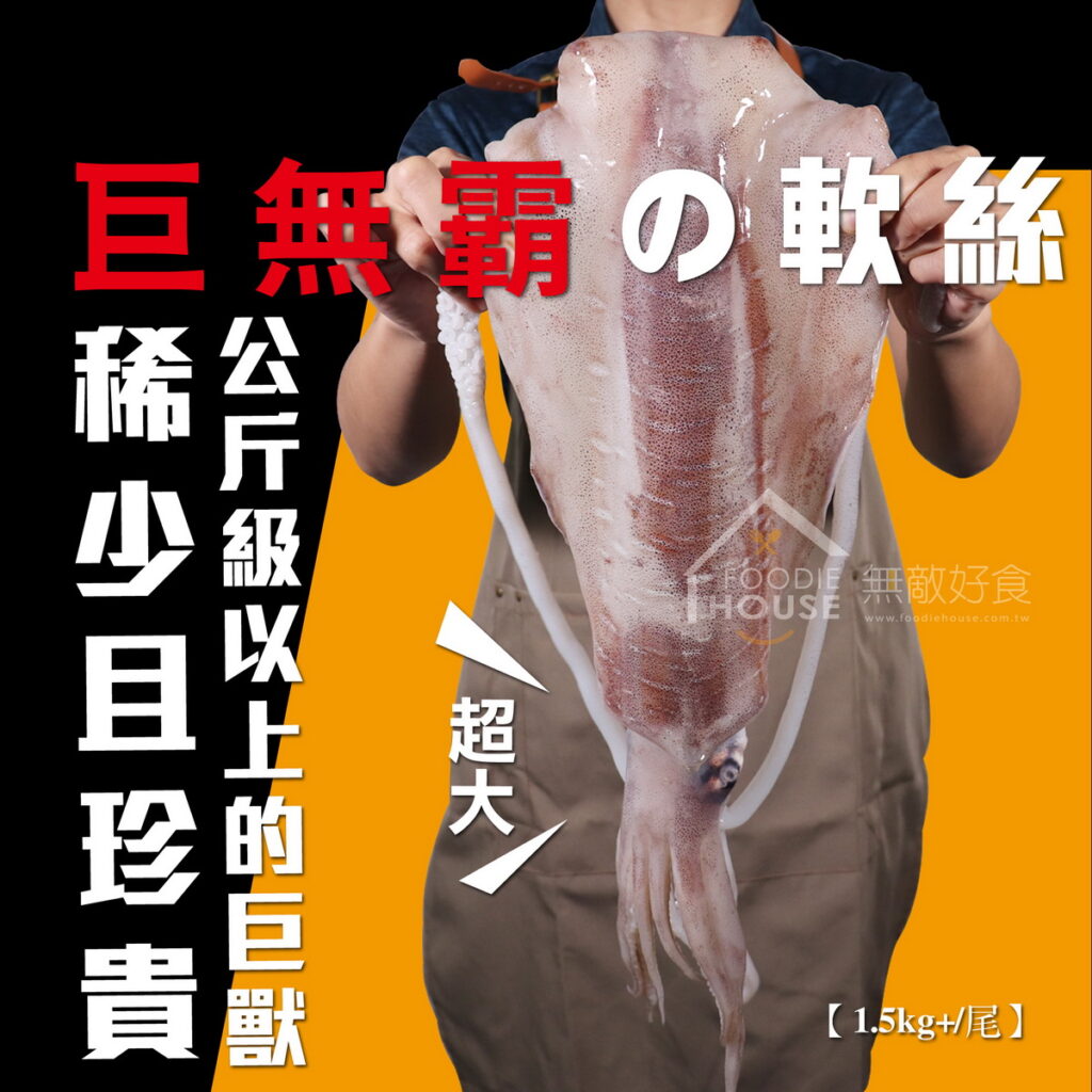巨無霸軟絲