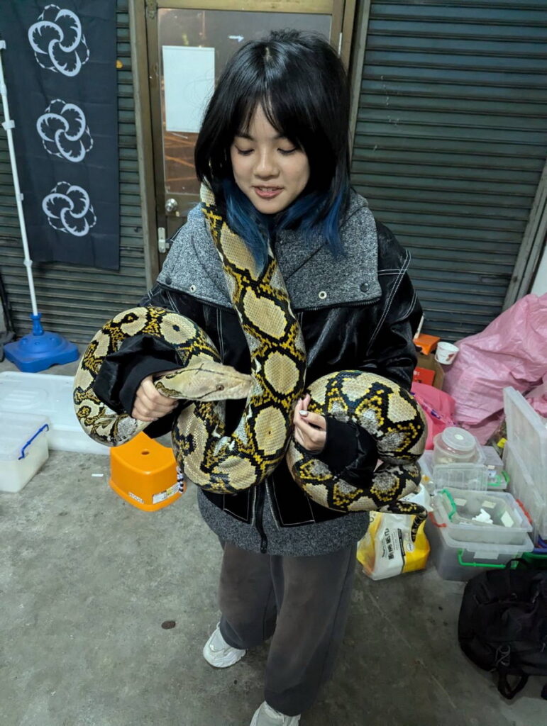 紫白化金童巨蟒降臨年貨展