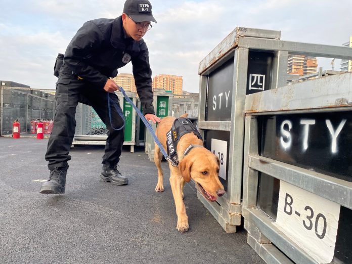 壢警全力守護跨年晚會安全 桃園警犬隊也出動 69 S 11403281 0 scaled
