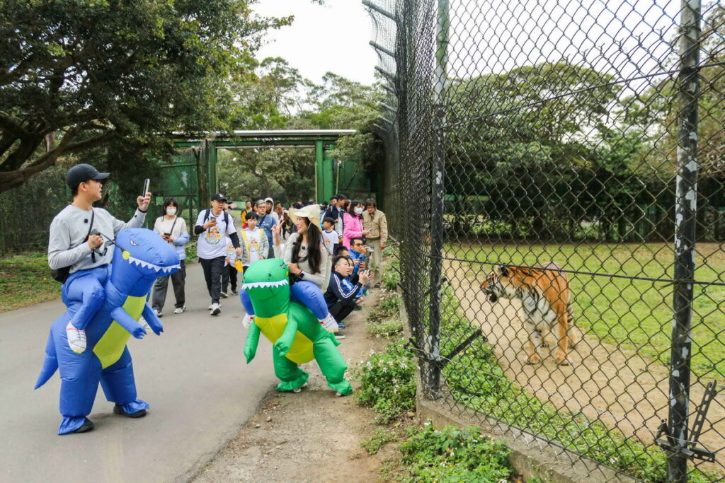 不少親子與情侶檔共襄盛舉,大手牽小手展開路跑動物之旅
