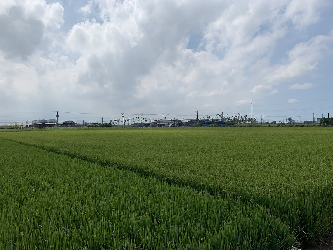 114年「綠色環境給付計畫」受理申報即日起至114年2月8日止