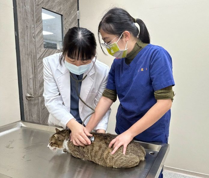 桃園表彰獸醫師辛勞付出 盼共築寵物友善環境 73 S 221560838 0 scaled