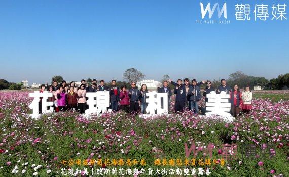 (有影片)/七公頃波斯菊花海點亮和美 鎮長邀您來賞花購年貨