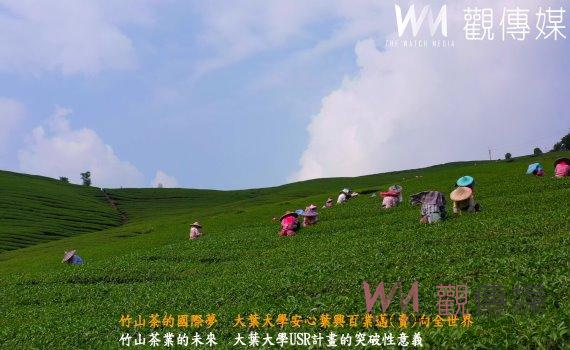 (有影片)/竹山茶的國際夢 大葉大學安心葉興百業邁(賣)向全世界