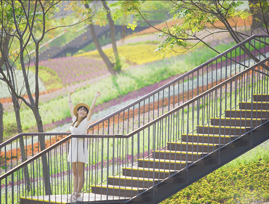 台版富良野！三層崎花海絕美　彩色「浪花」等你來