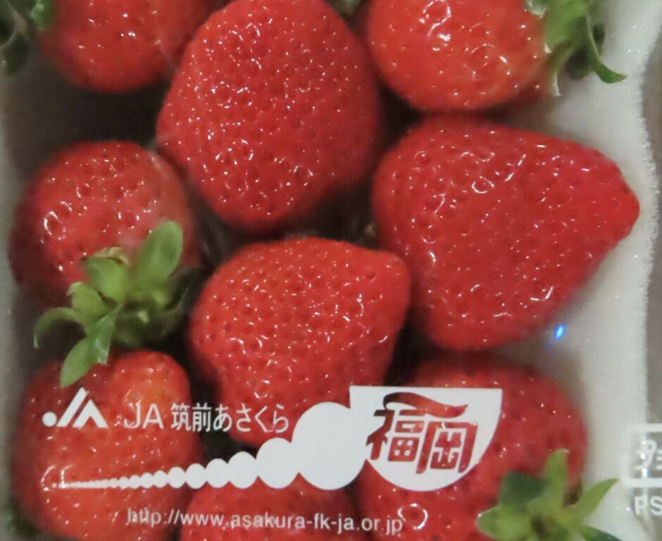 草莓季不安!日本草莓爆629公斤農藥違規 佐賀、福岡、熊本上黑名單 250 草莓季不安!日本草莓爆629公斤農藥違規 佐賀、福岡、熊本上黑名單 249